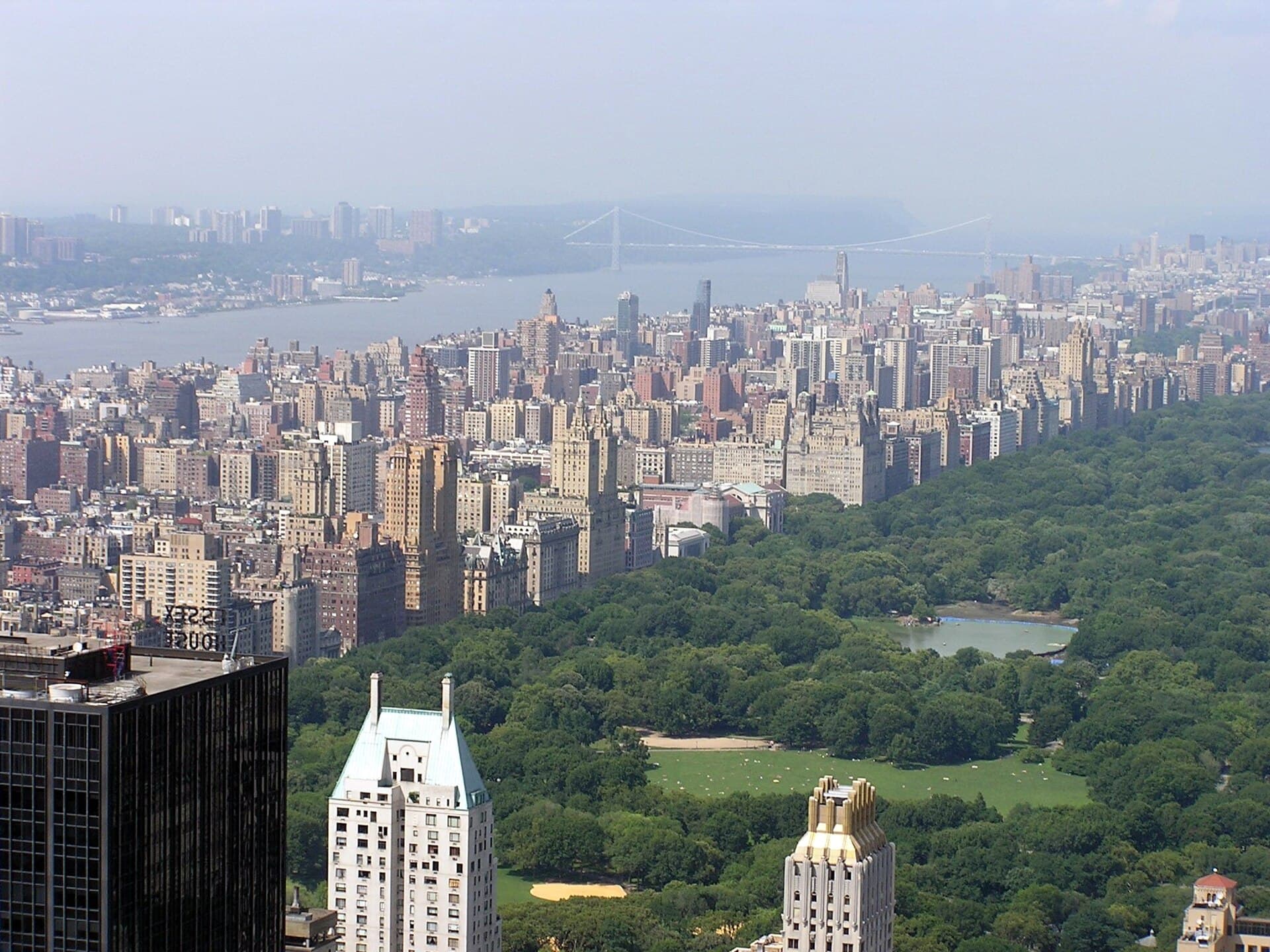 **Una familia rara de búhos de granero se instala en el Upper West Side de Manhattan. Los neoyorquinos están cautivados**